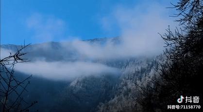 娶妻当娶李子柒小说作品列表,娶妻当娶李子柒前一句是啥