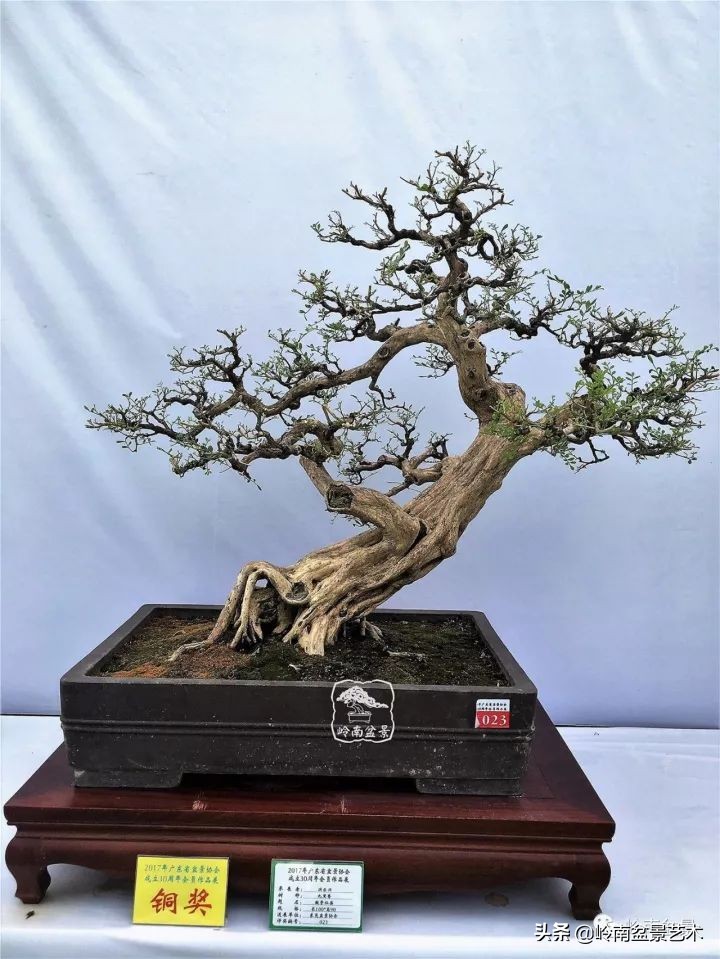 骞哥涔呬箙鐢滅敎铚滆湝,骞哥涔呬箙