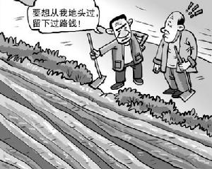 邻居屋前栽树遮住我家阳光怎么办,邻居大面积种树影响我家采光