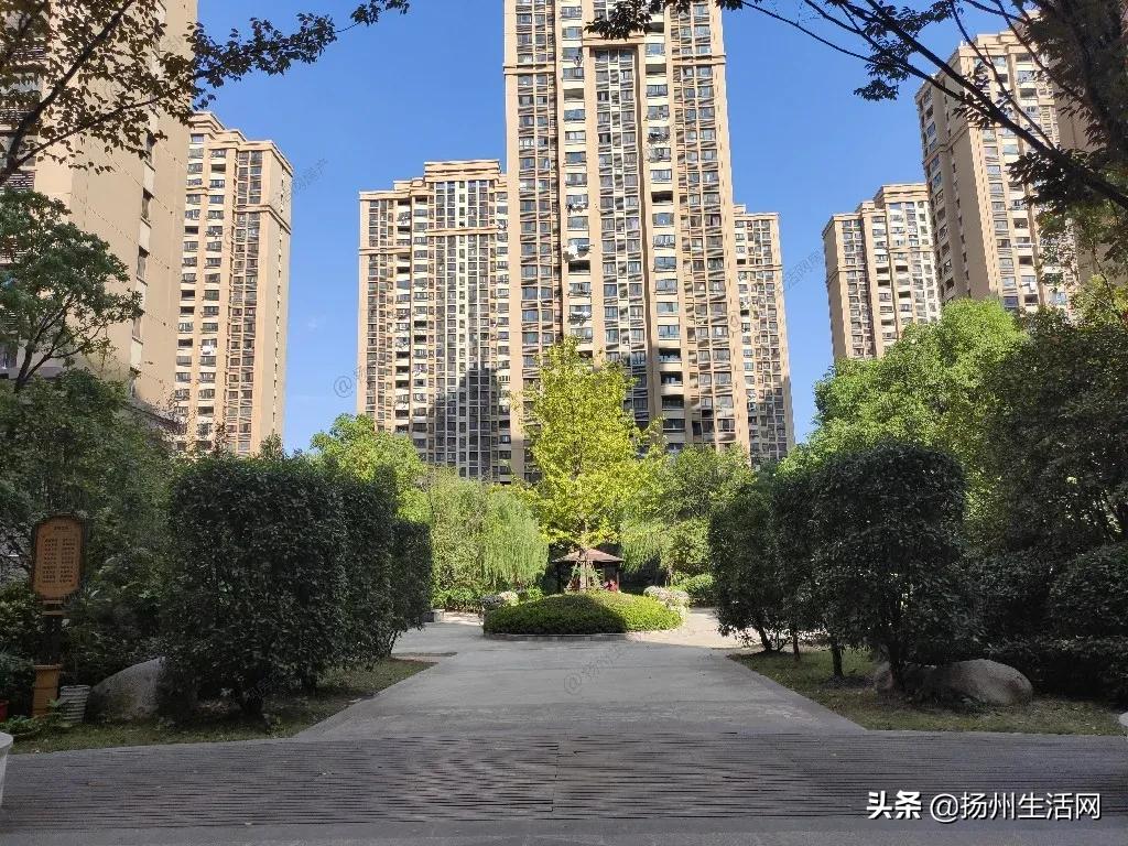 实探烂尾楼,实探被曝光