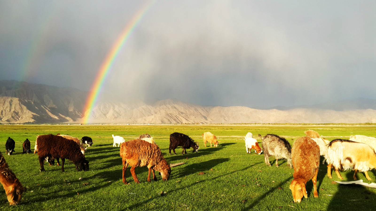 中国最牛的县城塔什库,中国最牛的县塔什库尔干