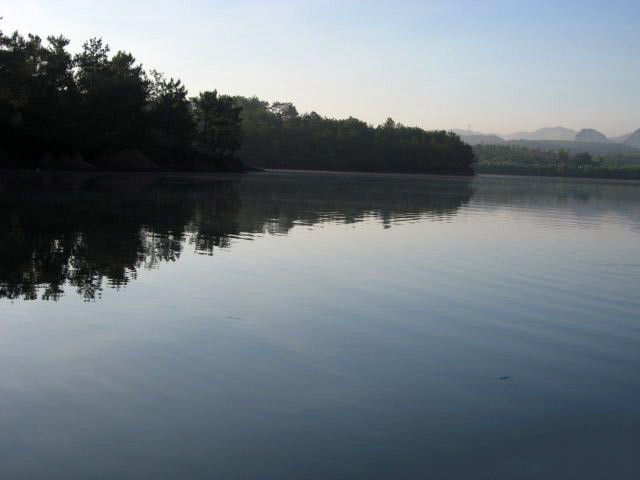 在两广地区，只要有此鱼存在的水域，钓鱼人断竿切线是常有的事