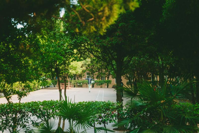 中国矿大当年为啥在徐州,徐州矿大故事