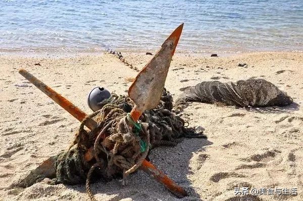 大连海鲜批发集市,大连海鲜最便宜的市场