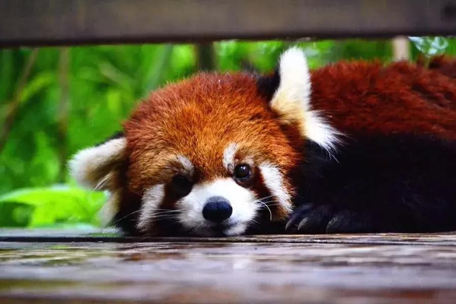 您有一份邀请函请查收,您有一份新的工作请查收