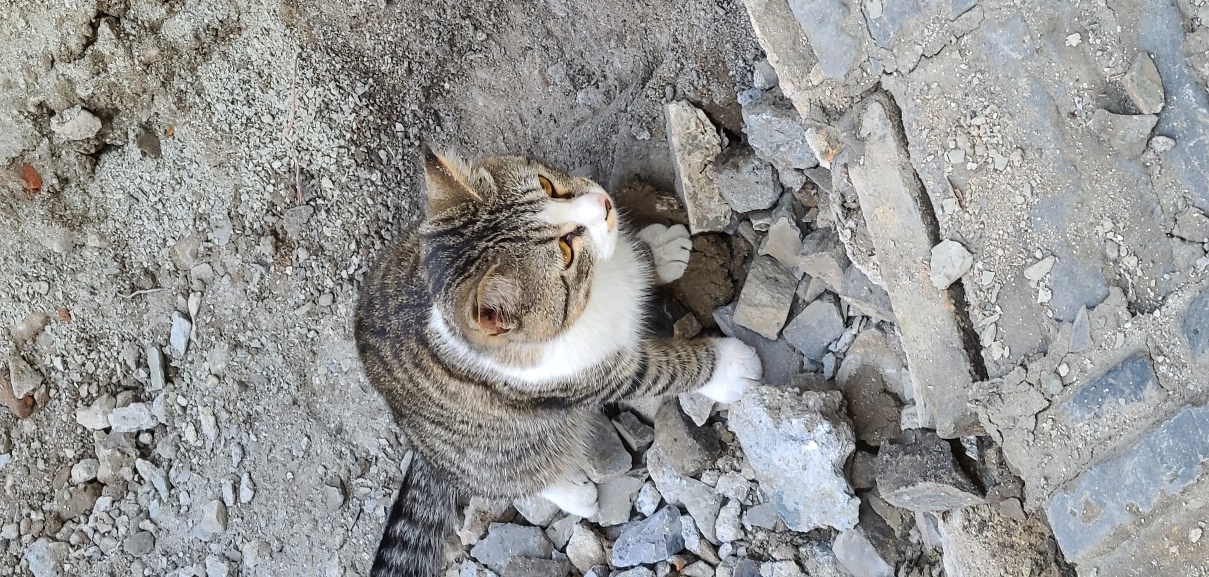 三星note9+与s20+对比,三星s20+换苹果12