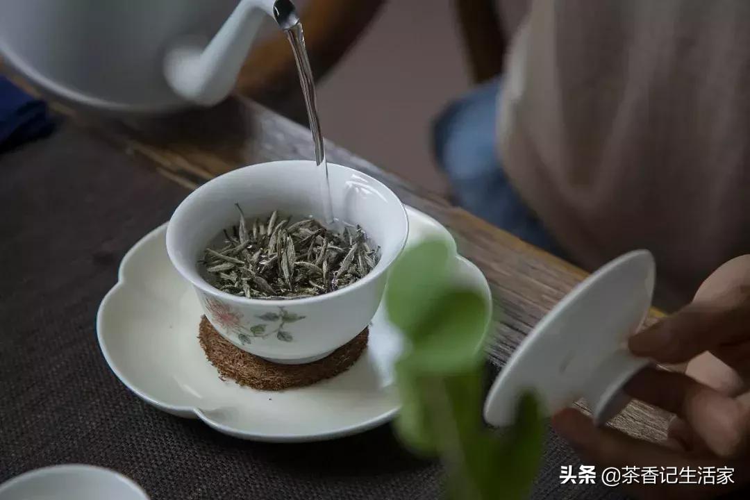 白茶好喝吗什么口感,是不是所有的白茶都是越放越好喝