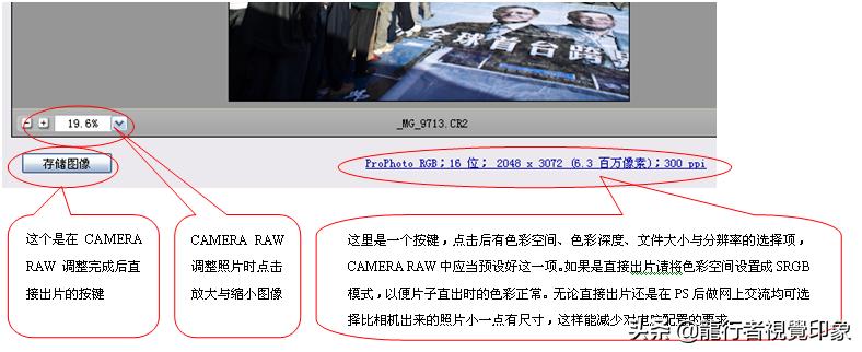cameraraw曲线详解教程,鹏凰视界cameraraw系列教程