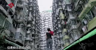 罗拉是最美搬运工吗,香港最美搬运工罗拉