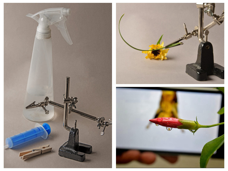 拍摄水滴花技巧,水珠花微距拍摄技巧