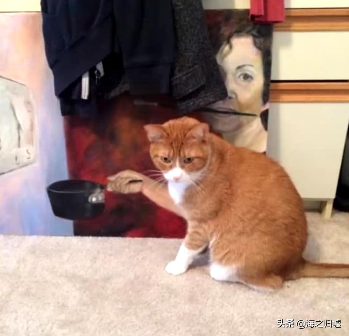 16张不可思议的巧合照片,33张不可思议的巧合照片