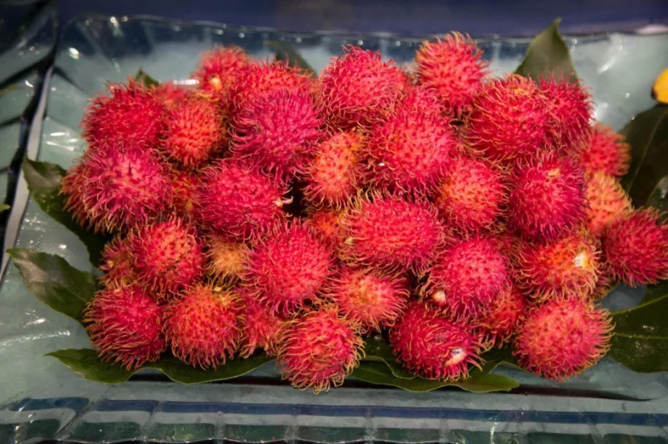 帝王蟹波龙象拔蚌,陆家嘴帝王蟹