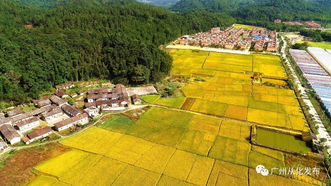 从化旅游景点排行榜前十名有哪些,广州从化旅游攻略必去十大景点