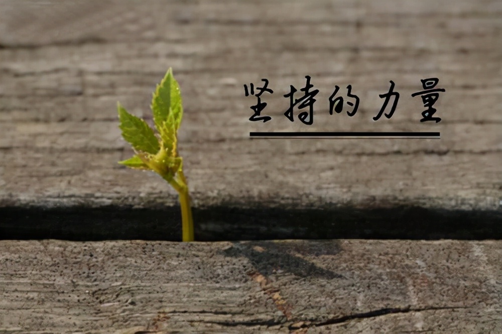 坚持让我成功优秀作文,坚持到底才会成功的作文