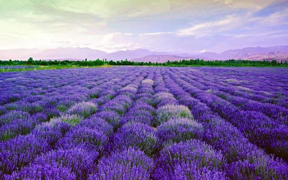 30岁的男人怕父母生病,三十几岁的男人最怕父母生病