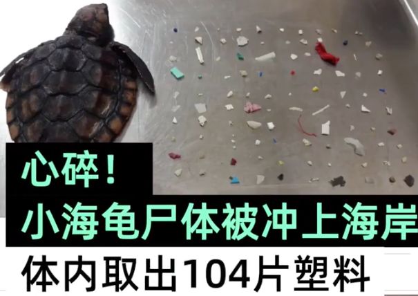 彭于晏我最需要的时候你在哪里,彭于晏我最需要他的时候他在哪里