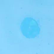 防晒霜和物理防晒真实测评,纯物理防晒霜最优测评