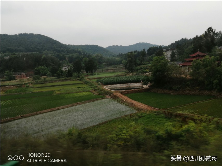 雪宝奶牛场,参观雪兰牛奶工厂心得体会