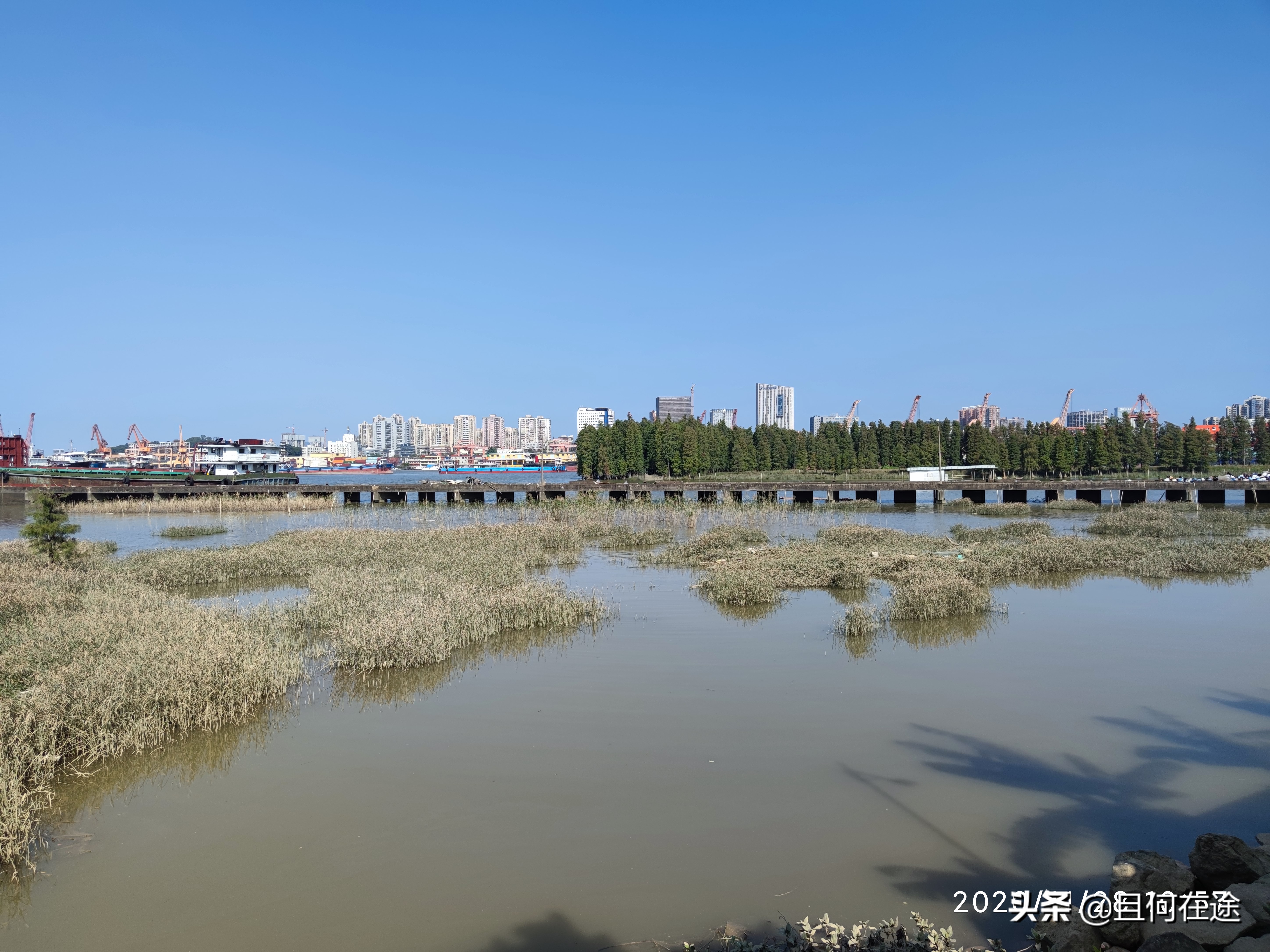 为什么要把饭碗牢牢端在自己手中,怎样才能把自己饭碗端在自己手里