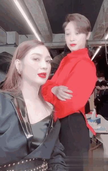 洪欣陈法蓉最近消息,洪欣陈法蓉合体综艺