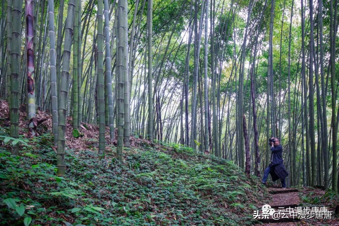 什邡蓥华大峡谷漂流还有什么玩的,九龙溪漂流和蓥华大峡谷漂流
