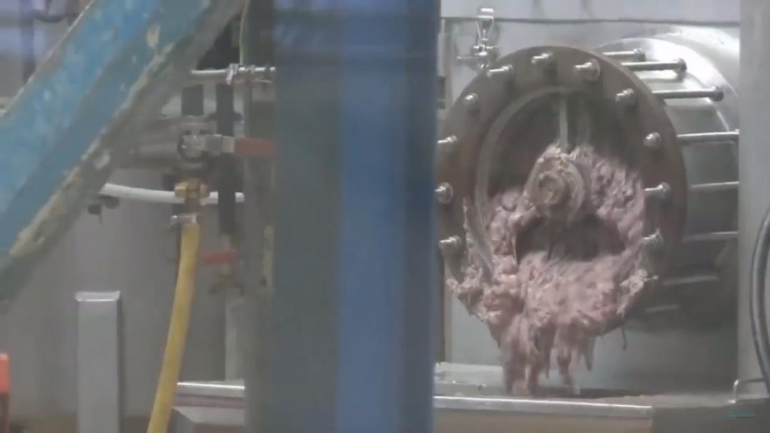 “最毒僵尸鱼”,外媒曝挪威三文鱼养殖乱象,看完胃不好了