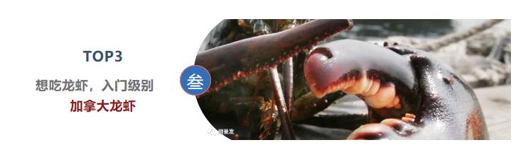 最好吃的海鲜都有哪些,顶级进口海鲜排行榜
