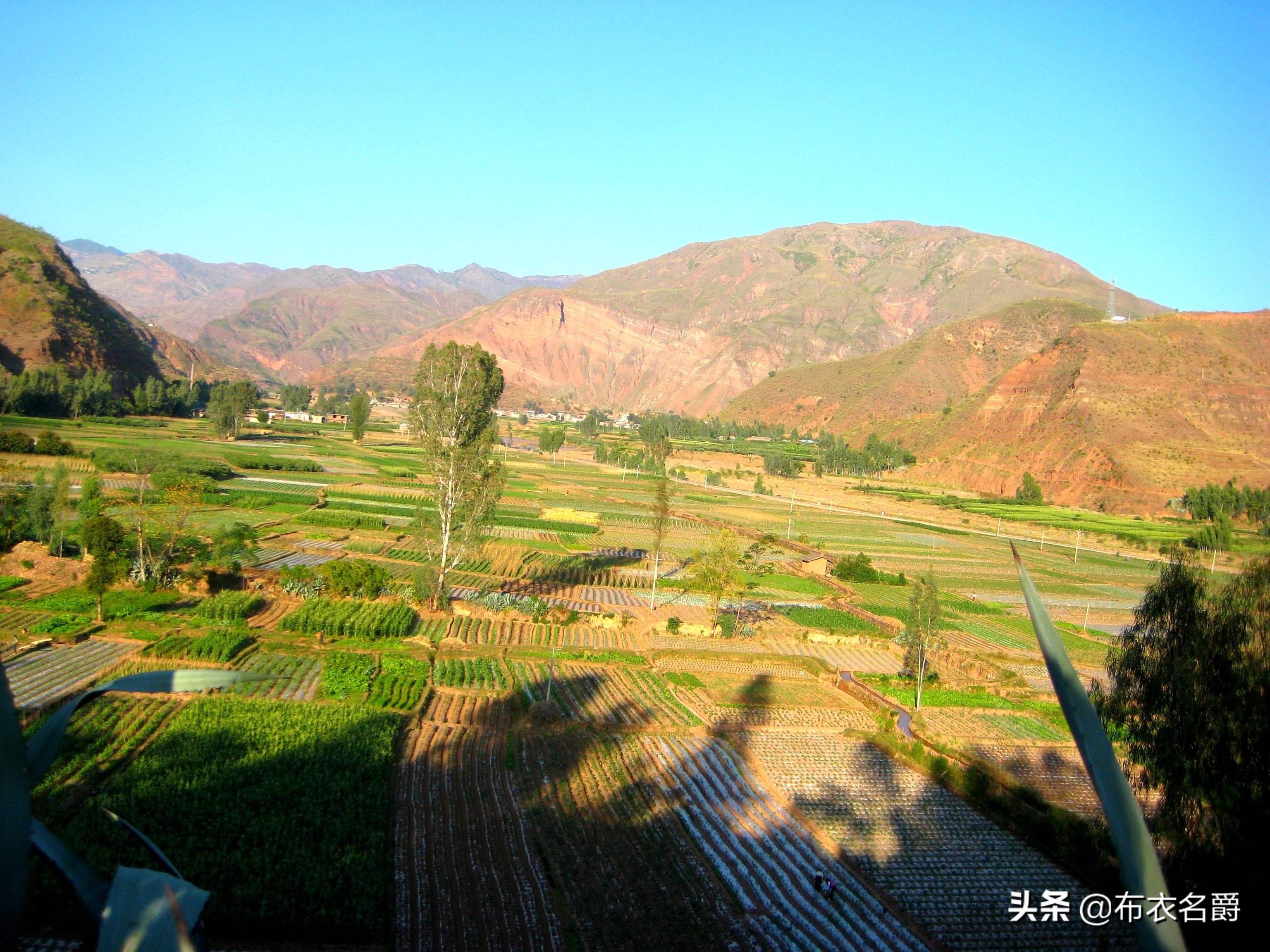 论治缺硒性仔猪水肿病