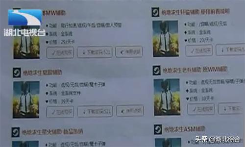 警方侦破特大吃鸡外挂,警方破获特大吃鸡外挂案