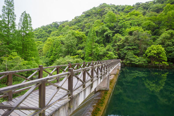 深藏在森林之中的温泉酒店,周末度假的好地方