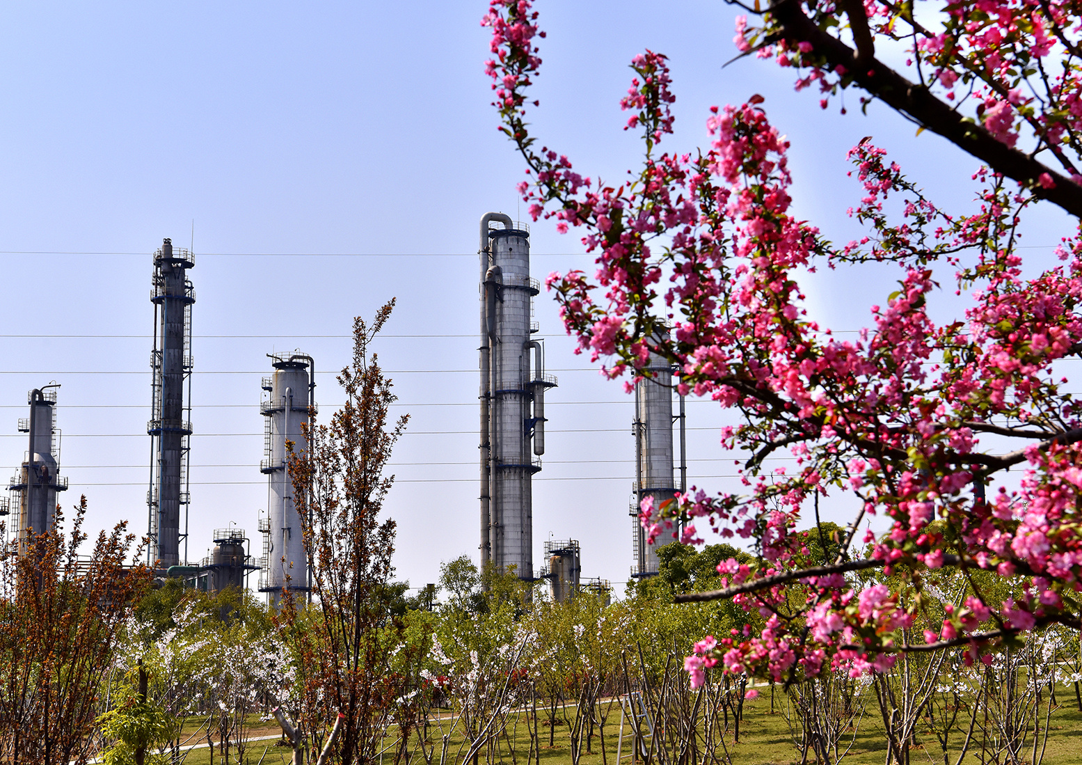 金陵石化哪个厂比较好,金陵石化烷基苯厂简介