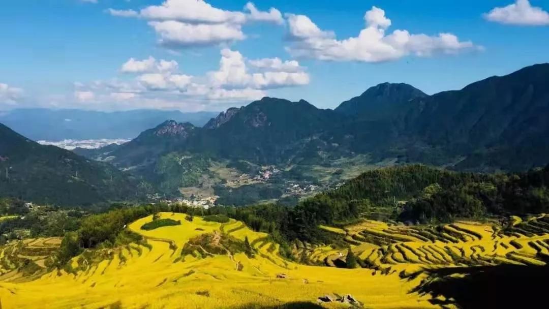 眺云海秘境、西子春晓，每一家都是旅行艺术，带你躺入春天~