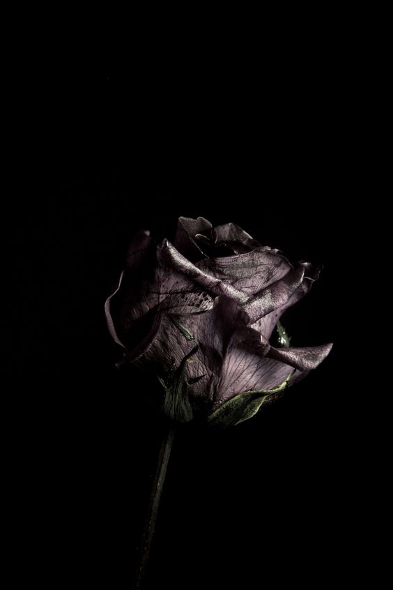 广东十年爱情故事是原创吗,可能性详细内容