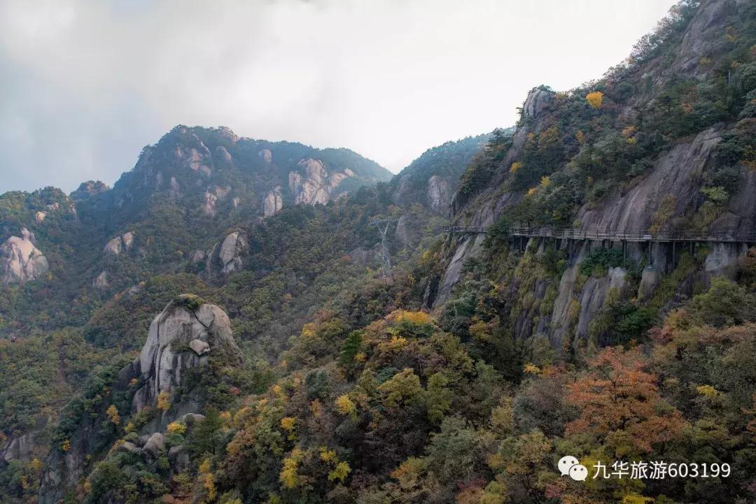 九华山游玩攻略免费门票,九华山风景区门票包含哪些景点