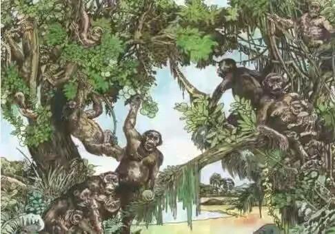 那些因为人类猎杀而灭绝的动物,因人类捕杀而灭绝的动物