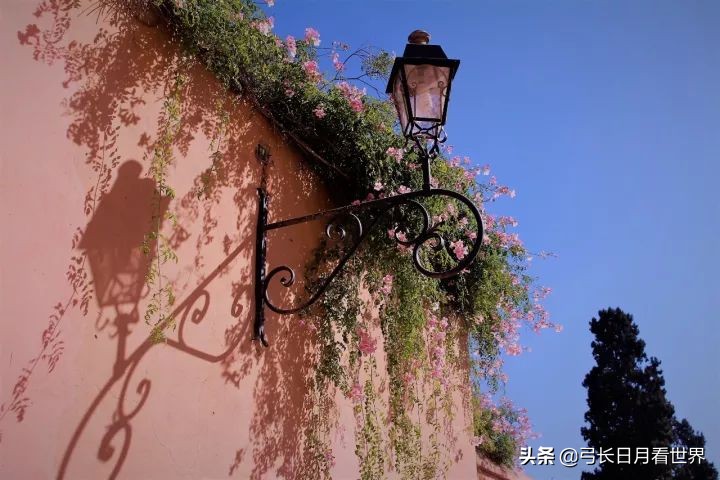 那又怎样,先干了这杯酒