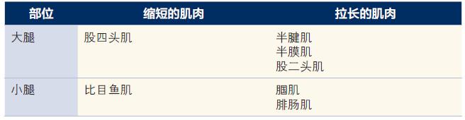 膝过伸自救指南：4个动作帮你改善膝过伸