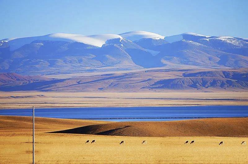 酸奶糊,酸奶湖6月份风景
