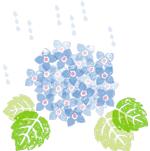 歌曲闻香识女人变调,闻香识女人兰妮