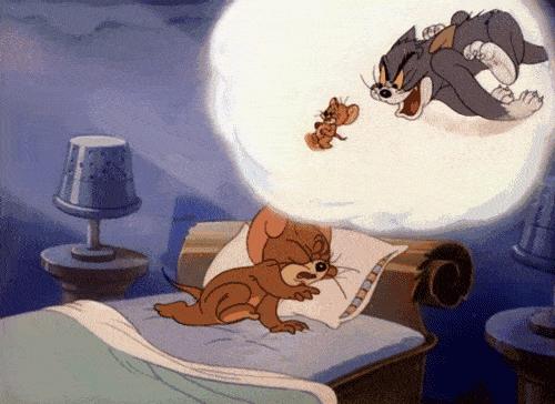 养猫就是抓老鼠吗,还有多少人养猫是为了抓老鼠的