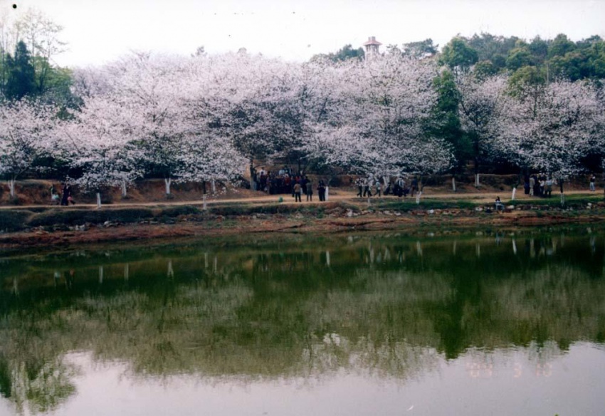 长沙市植物园附近的房子潜力,长沙南城最值得购买的房子