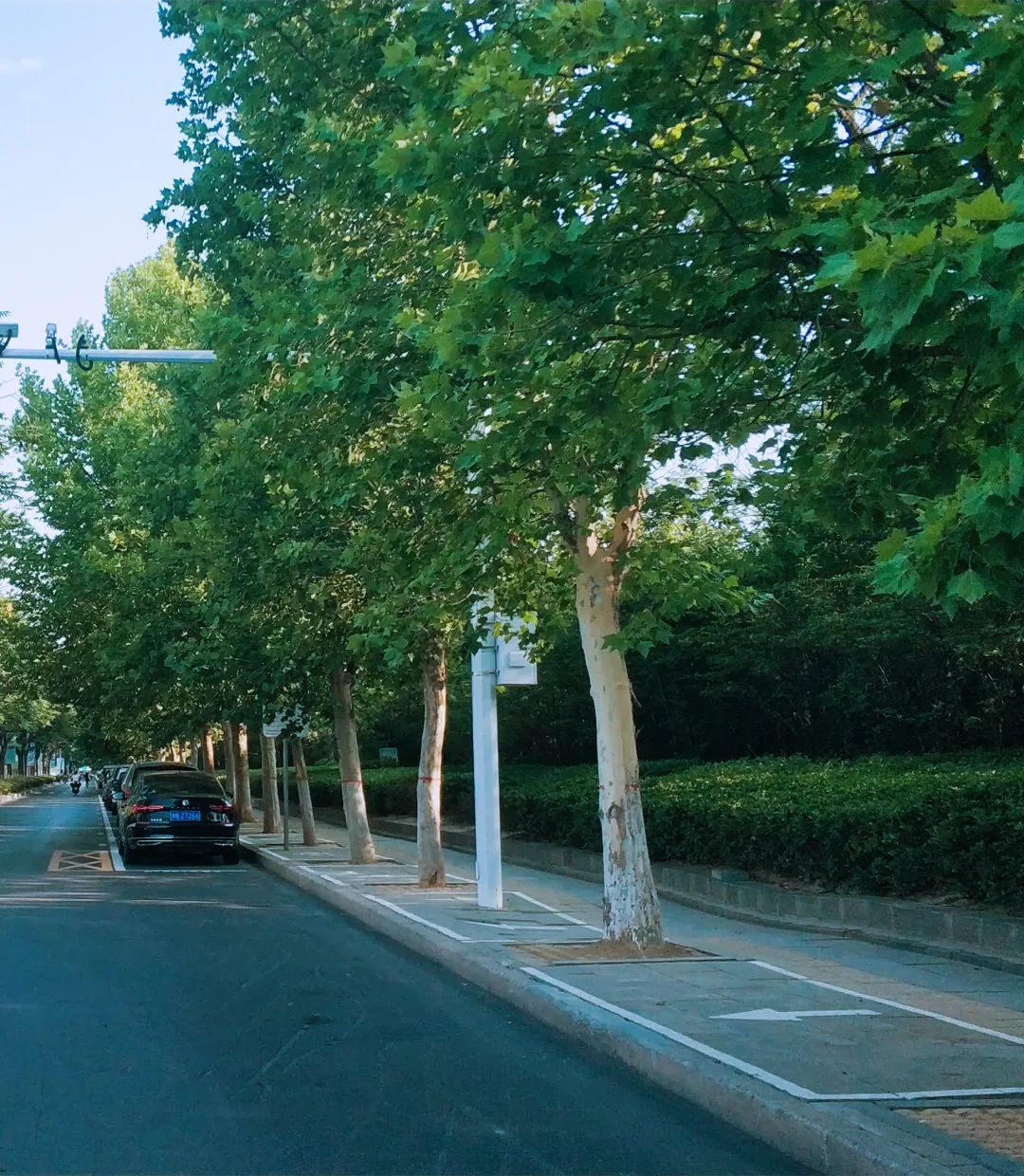 小说诸天万界无敌是多么寂寞,无敌是多么寂寞完整版一口气看完