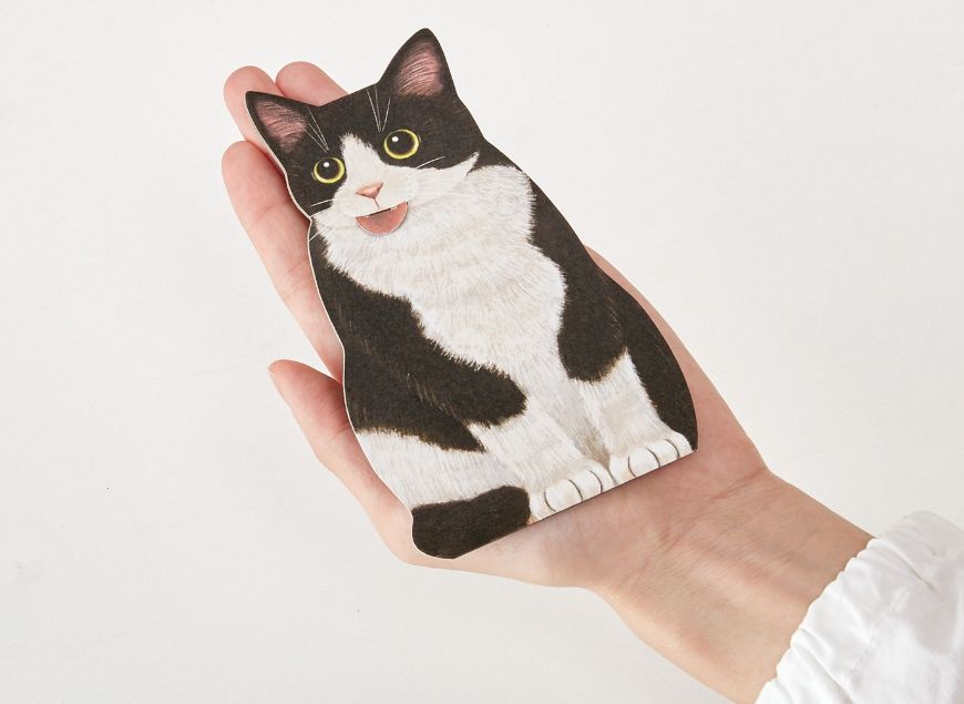 日本人又来骗猫奴们的钱啦！但我心甘情愿掏钱了！