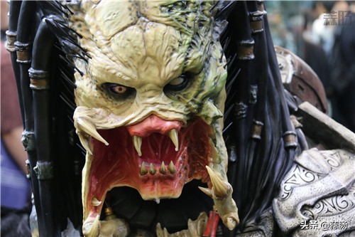 wf手办展飞天,wf上海限定手办