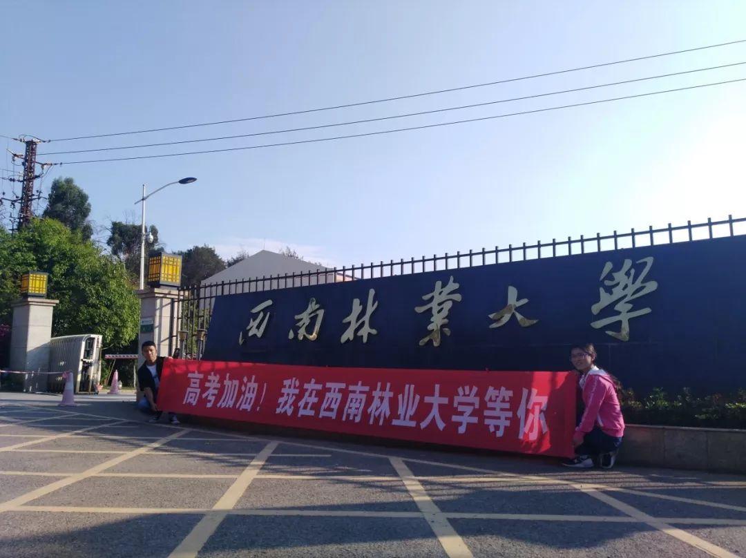 北京林业大学和南京林业大学,北京林业大学西南林业大学