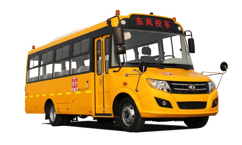 中国国内常见的校车品牌,中国国内常见的校车