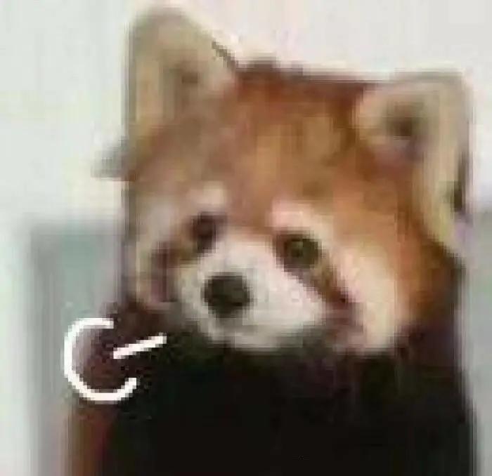 咬舌真的能自尽吗法医来揭秘,电视剧里的咬舌自尽是真的吗