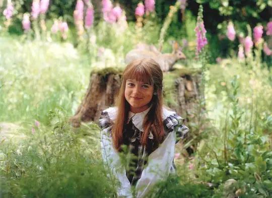 秘密花园这本书的秘密是什么,秘密花园魔法森林书