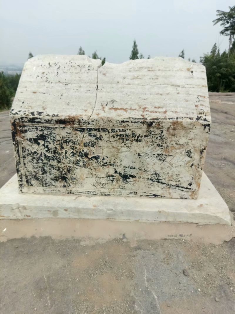 秋天的杨府山公园,秋天的泉山森林公园