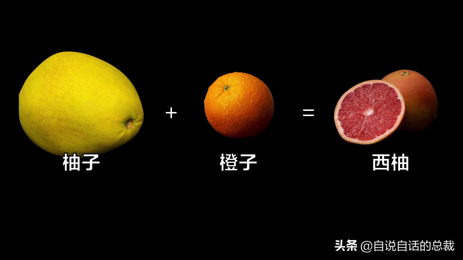 全世界的柠檬都读Lemon?这背后有一个刻在8号染色体上的上古故事